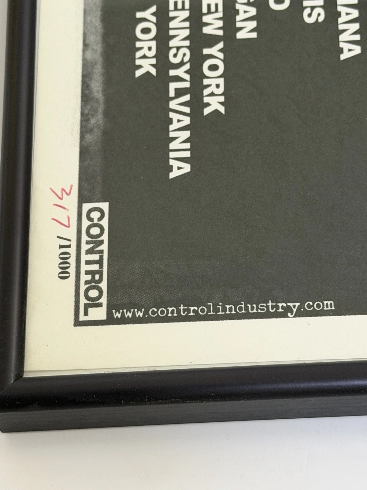 Ice Cube Signed Raw Footage Tour 2008 Poster #317 of 1000 Framed Limited Edition, image 4