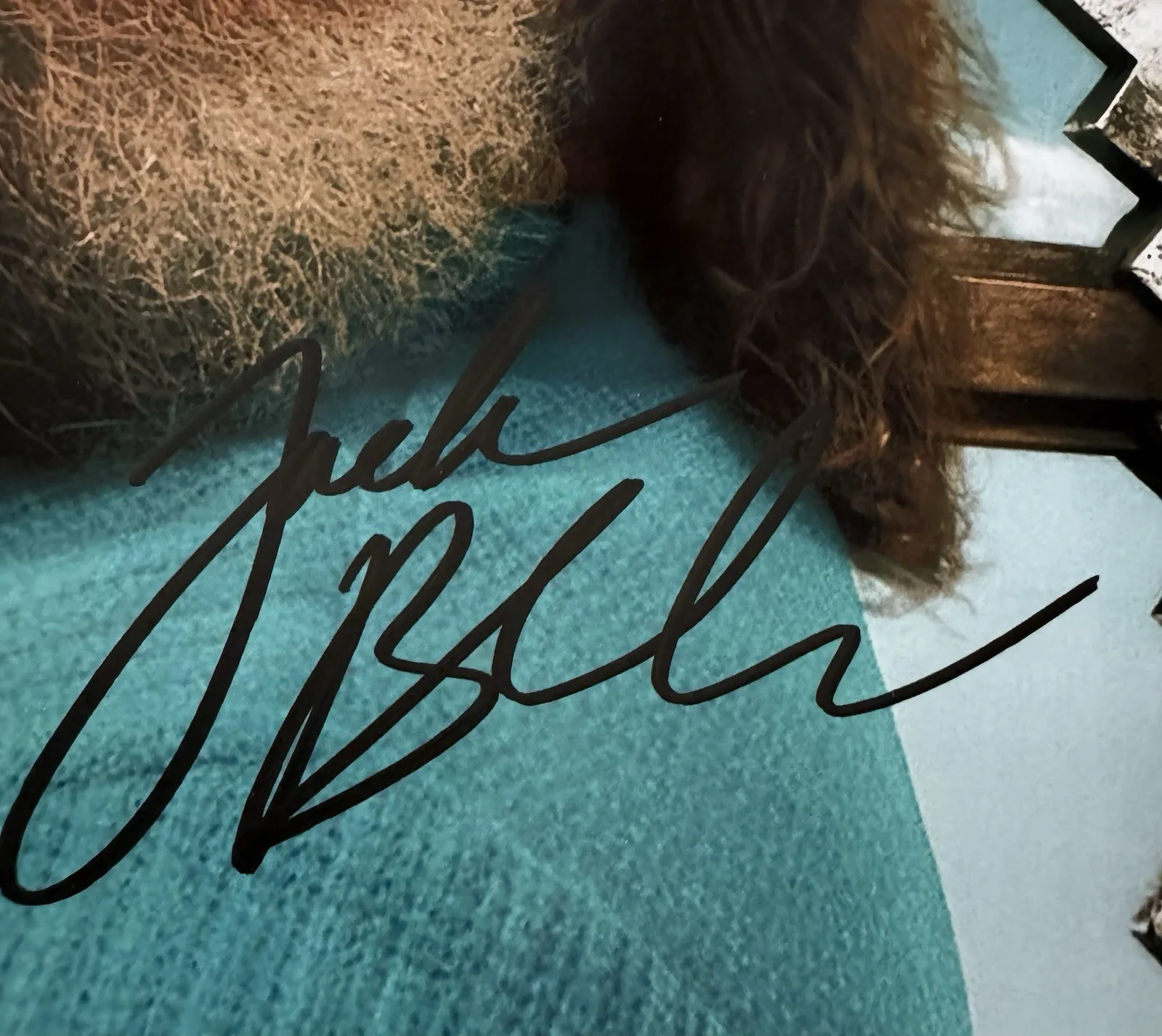 Jack Black — Jack Black Signed 8.25 X 11.75“ Photo School Of Rock High Fidelity W/COA, изображение 2