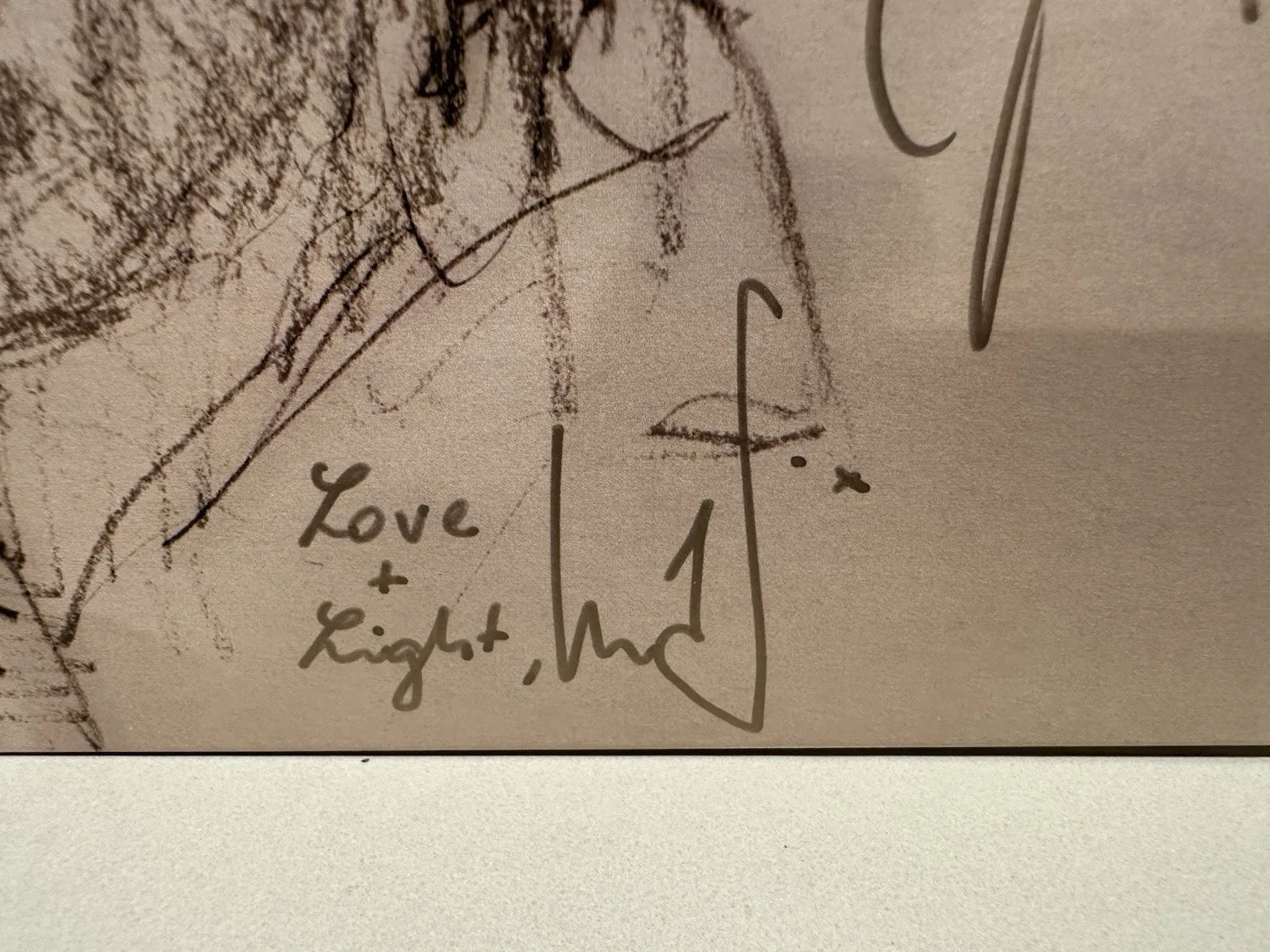 The Swell Season Autographed Forward Ivory Vinyl LP, изображение 5