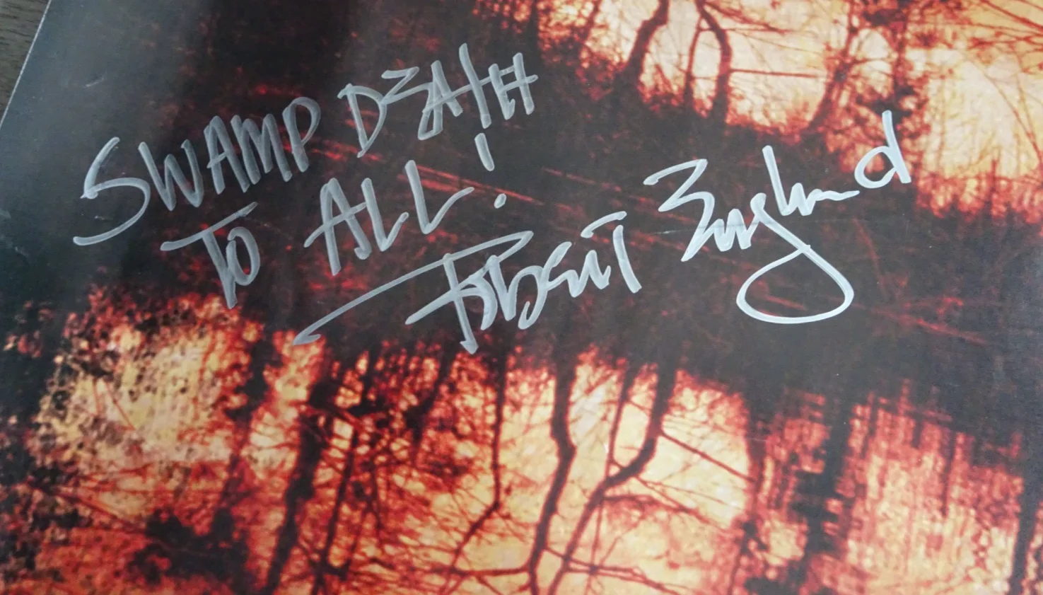 Hatchet Quad Poster Signed By Adam Green & Robert Englund Rare Horror 30x40, изображение 2