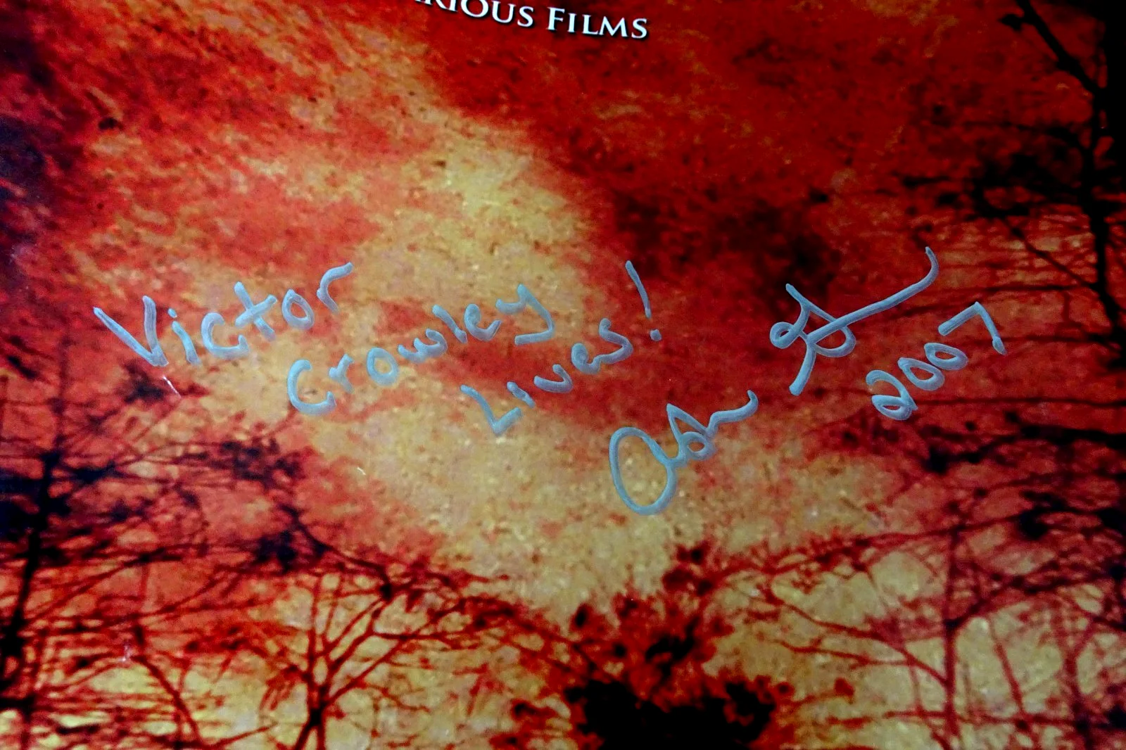 Hatchet Quad Poster Signed By Adam Green & Robert Englund Rare Horror 30x40, изображение 3