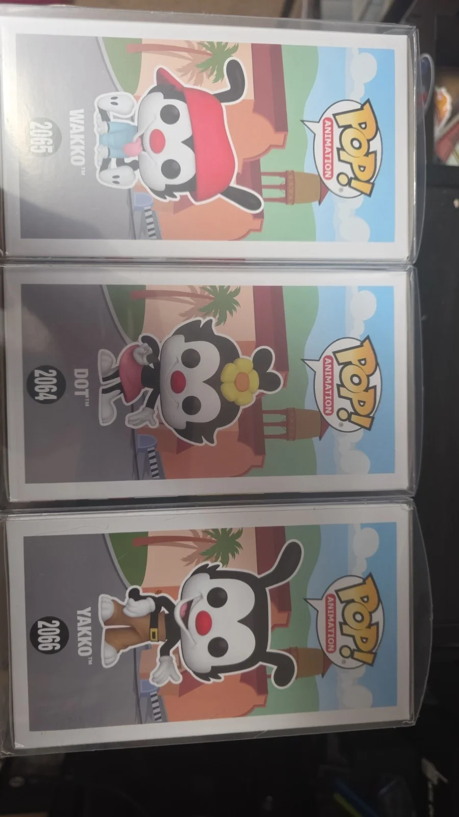 Wakko Yakko and Dot Signed Funko Pops Autographed With CoA, image 4