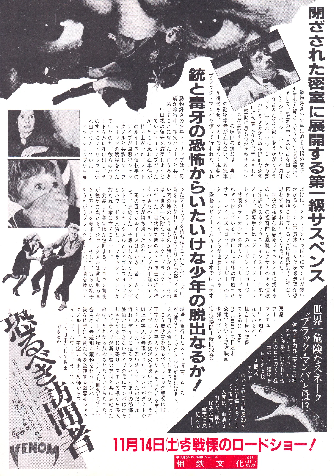 Venom - Piers Haggard Original Japan Chirashi B5 Mini Poster/Flyer (1981), изображение 2