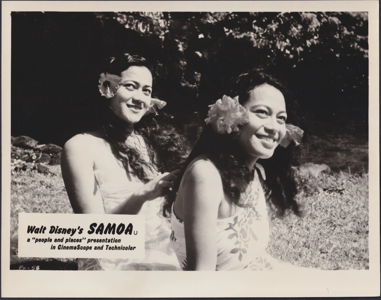 Samoa 7x ORIGINAL UK FOH Lobby Cards Walt Disney Documentary 1956, image 2
