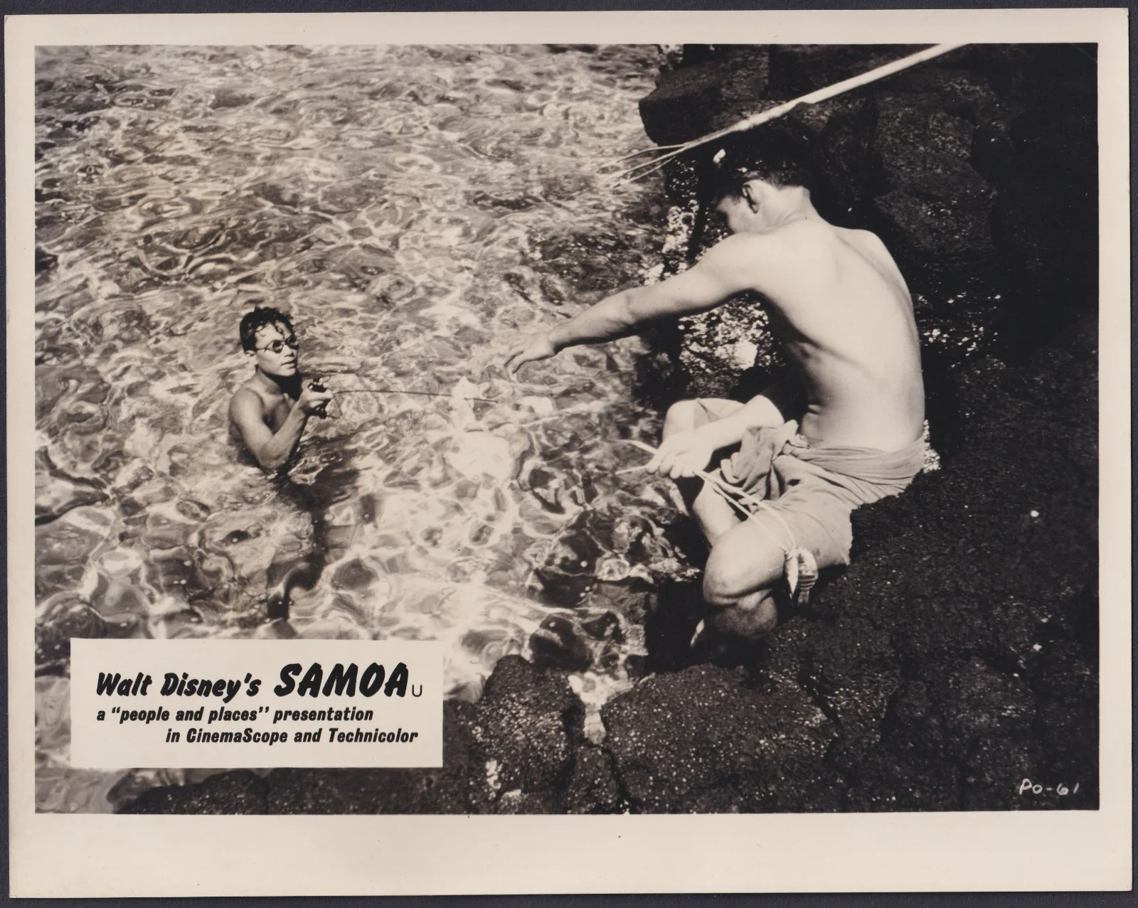 Samoa 7x ORIGINAL UK FOH Lobby Cards Walt Disney Documentary 1956, image 4