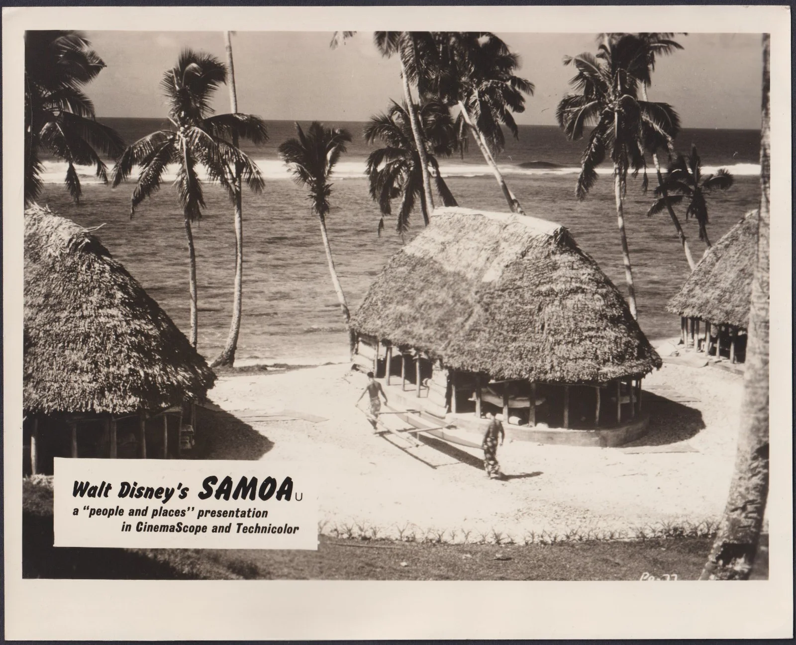 Samoa 7x ORIGINAL UK FOH Lobby Cards Walt Disney Documentary 1956, image 5