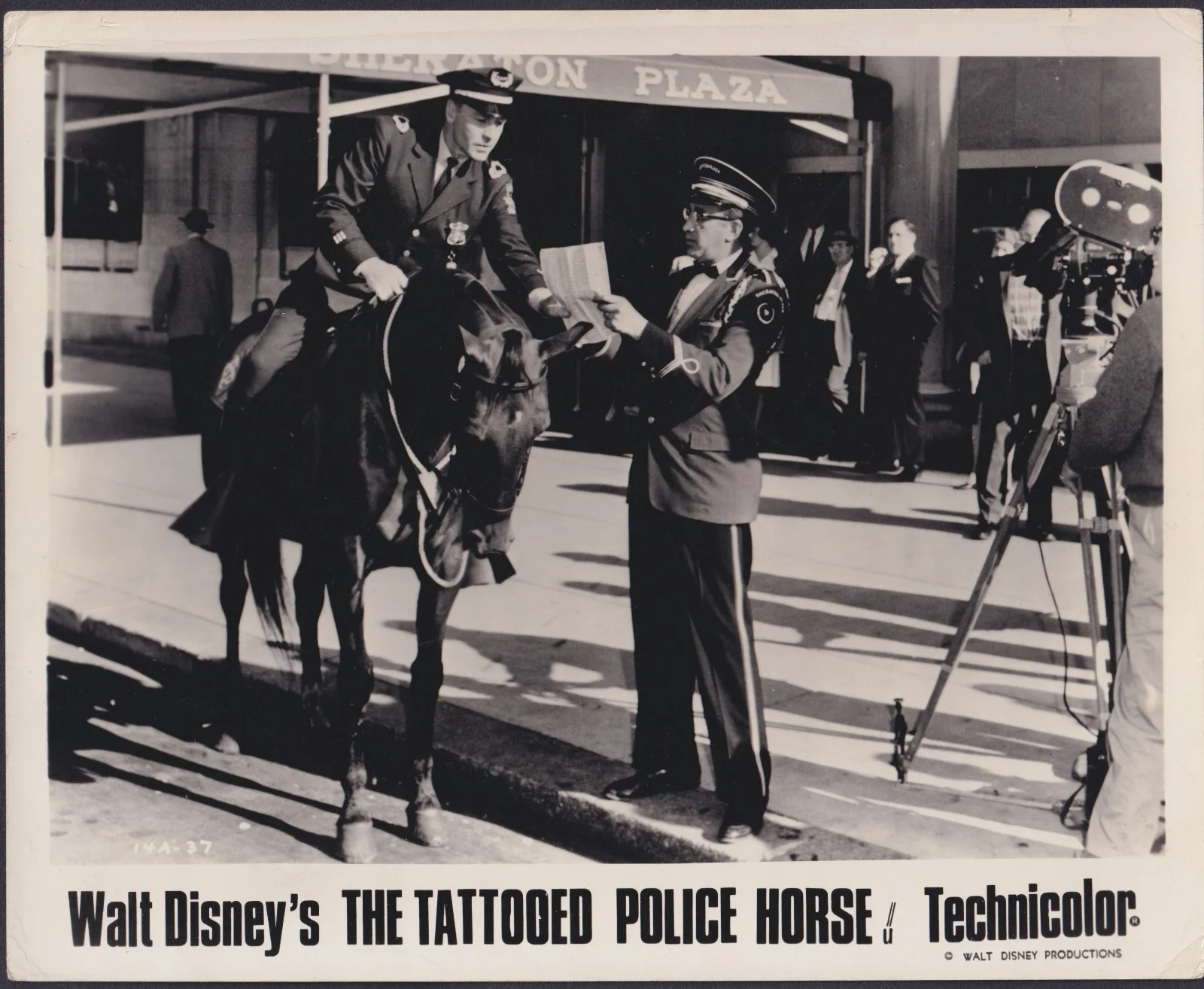 Tattooed Police Horse 8x ORIGINAL UK FOH Lobby Cards Walt Disney 1964, изображение 3