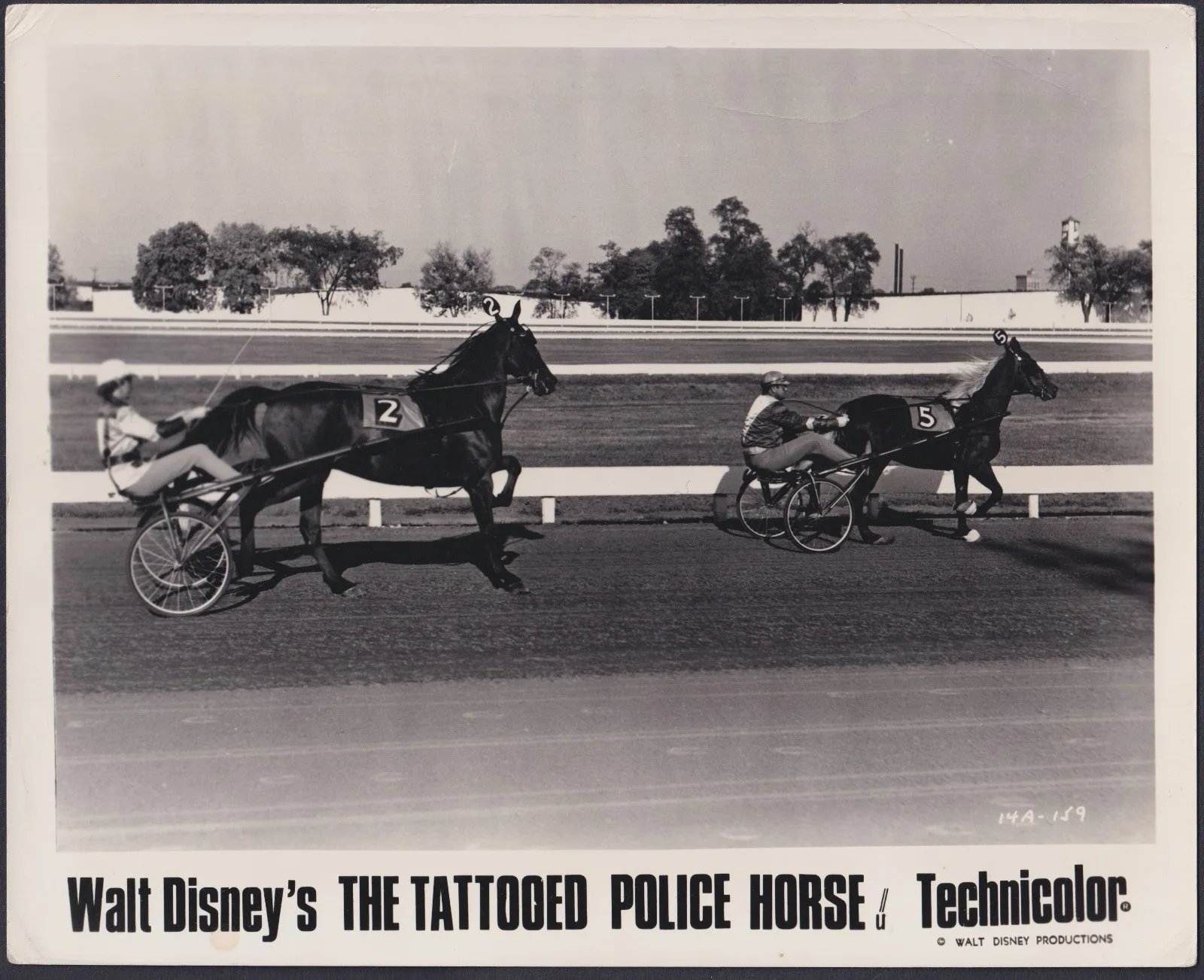 Tattooed Police Horse 8x ORIGINAL UK FOH Lobby Cards Walt Disney 1964, изображение 4