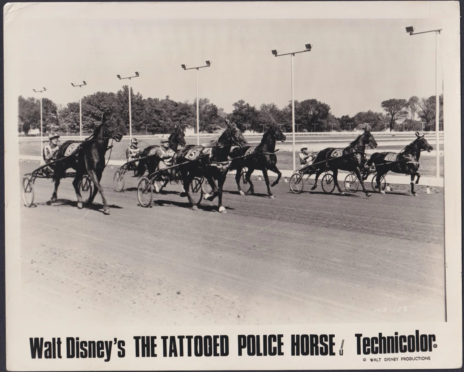 Tattooed Police Horse 8x ORIGINAL UK FOH Lobby Cards Walt Disney 1964, изображение 5