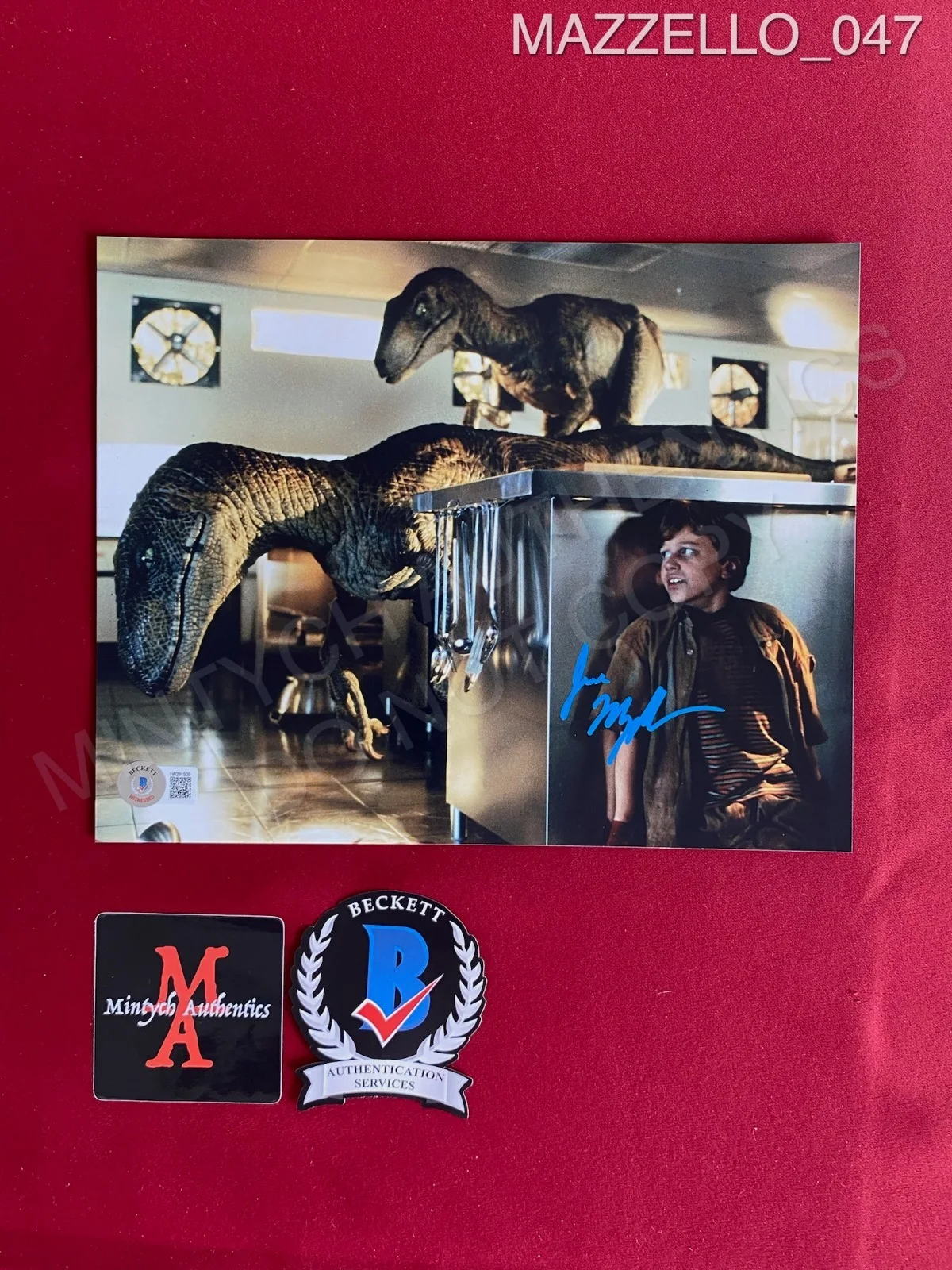 Joseph Mazzello — Joseph Mazzello autographed signed 8x10 photo Jurassic Park Tim Beckett COA