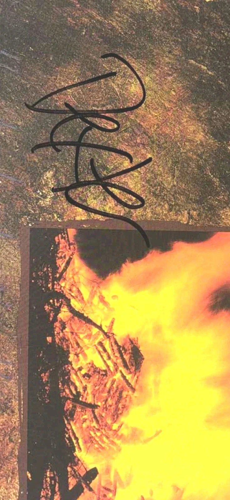 The Offspring Signed Dexter Holland IGNITION vinyl Record RACC Bought RTS 100%, изображение 2