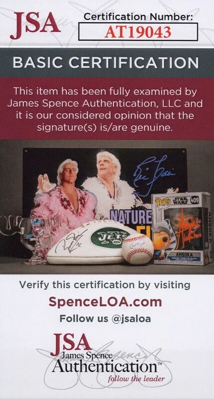RICKY MARTIN — Ricky Martin signed "ALMAS DEL SILENCIO" 10x10 Photo EXACT PROOF a JSA COA, image 2