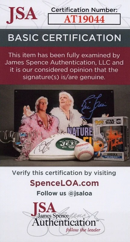 RICKY MARTIN — Ricky Martin signed "LIVIN' LA VIDA LOCA" 10x10 Photo EXACT PROOF b JSA COA, изображение 2