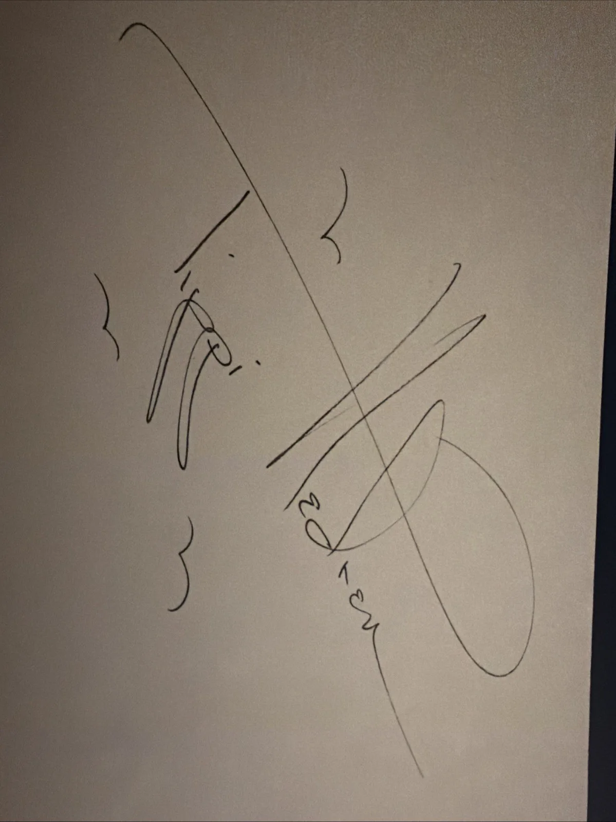 Tippi Hedren Signed Autograph Sketch – Hitchcock Muse – The Birds, изображение 2