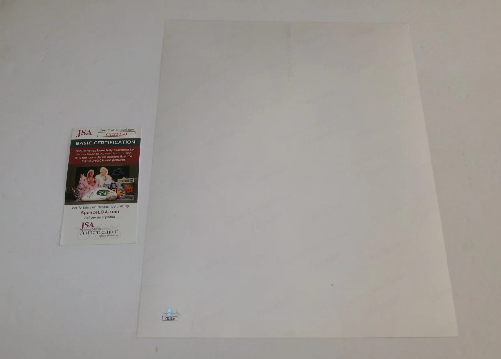 Huge Anvil 11x14 Color Photo Signed By Lips & Robb Reiner JSA CERT, image 5