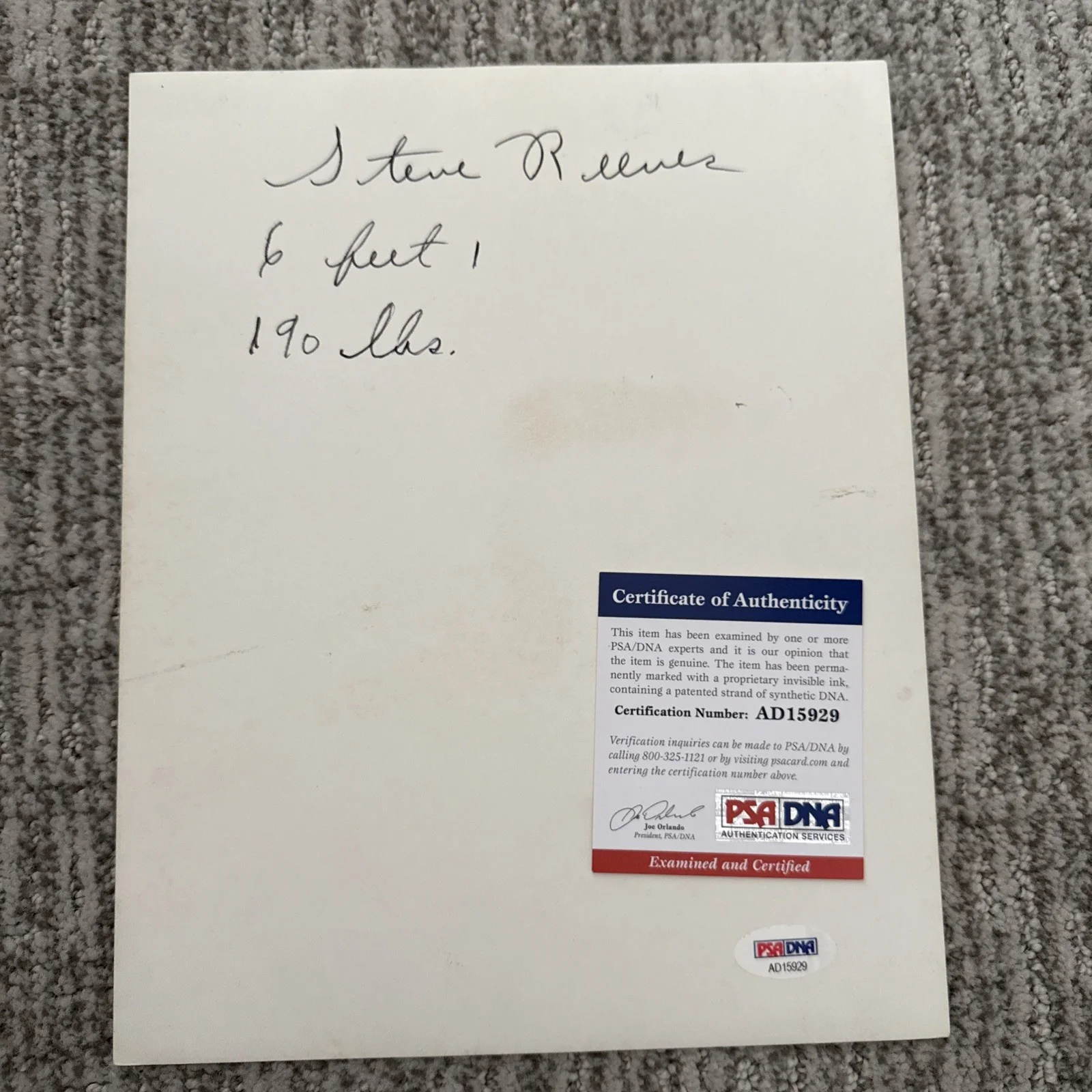 Steve Reeves SIGNED PHOTO Bodybuilder PSA COA Mr. America Universe Cardstock, image 5
