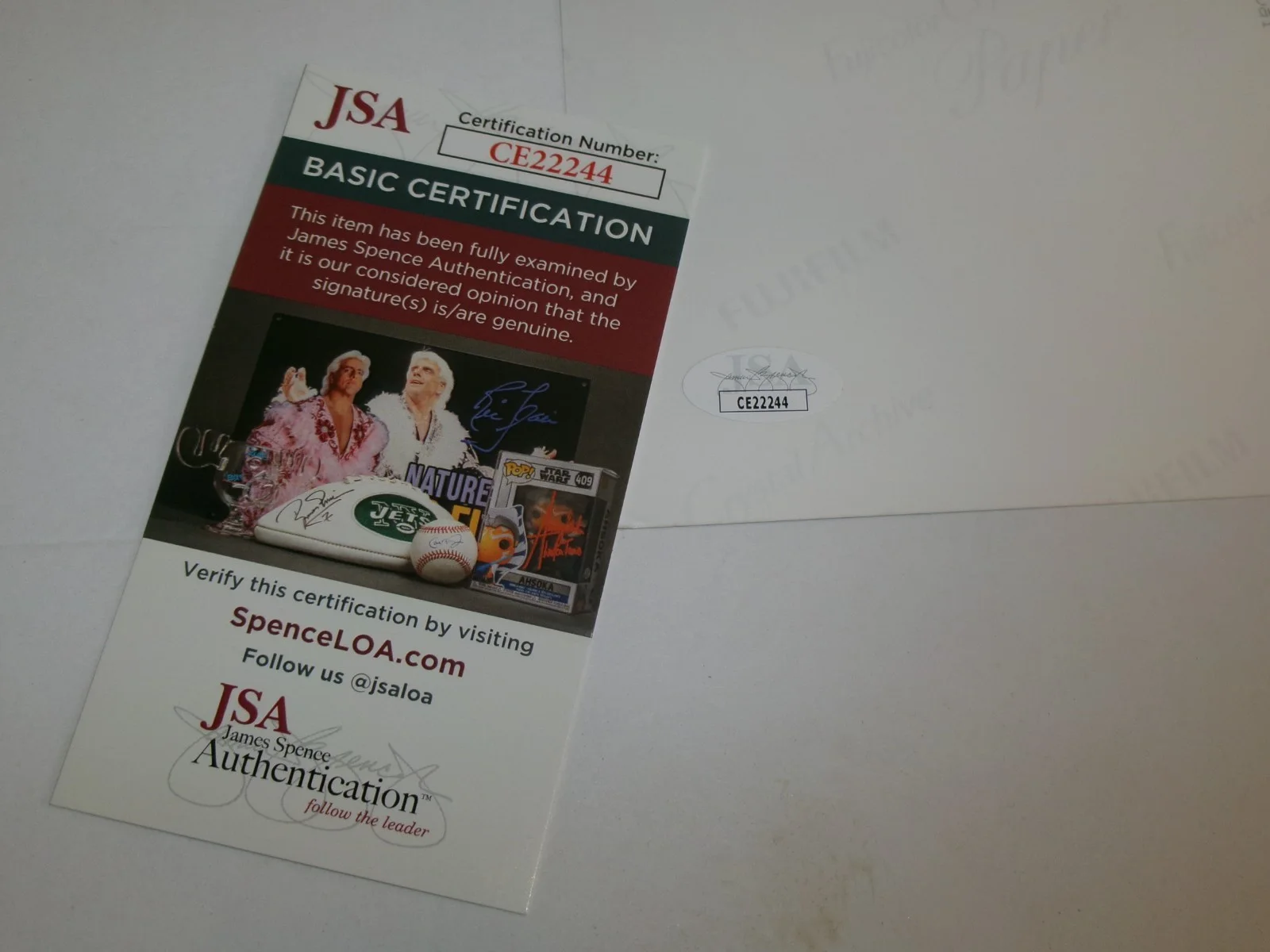 Steve Vai Signed 11X14 Color Photo JSA CERT, image 2