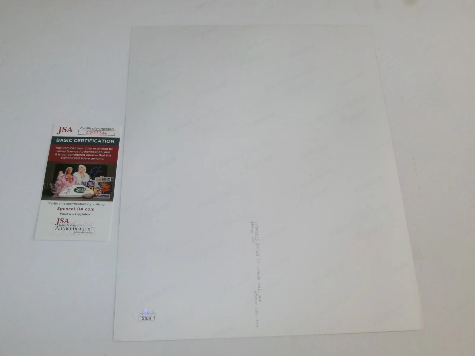 Steve Vai Signed 11X14 Color Photo JSA CERT, image 3