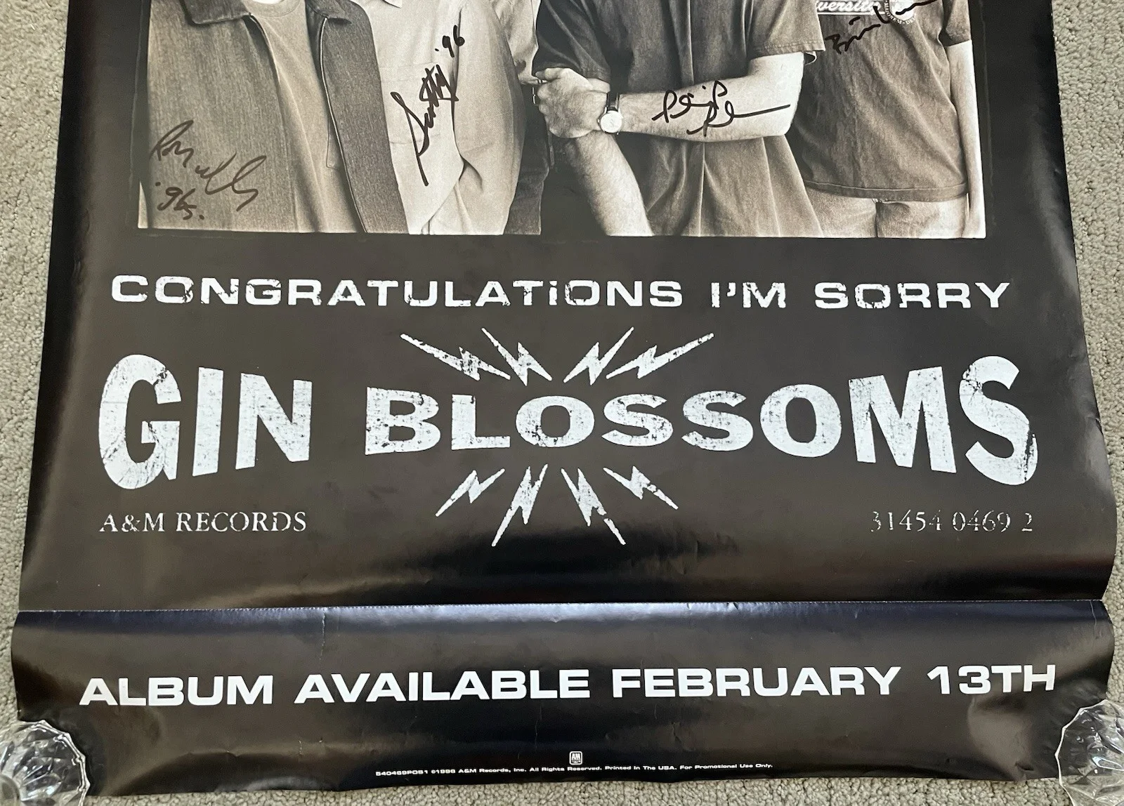 GIN BLOSSOMS Autograph Poster for "Congratulations I'm Sorry" signed by '96 Band, image 2