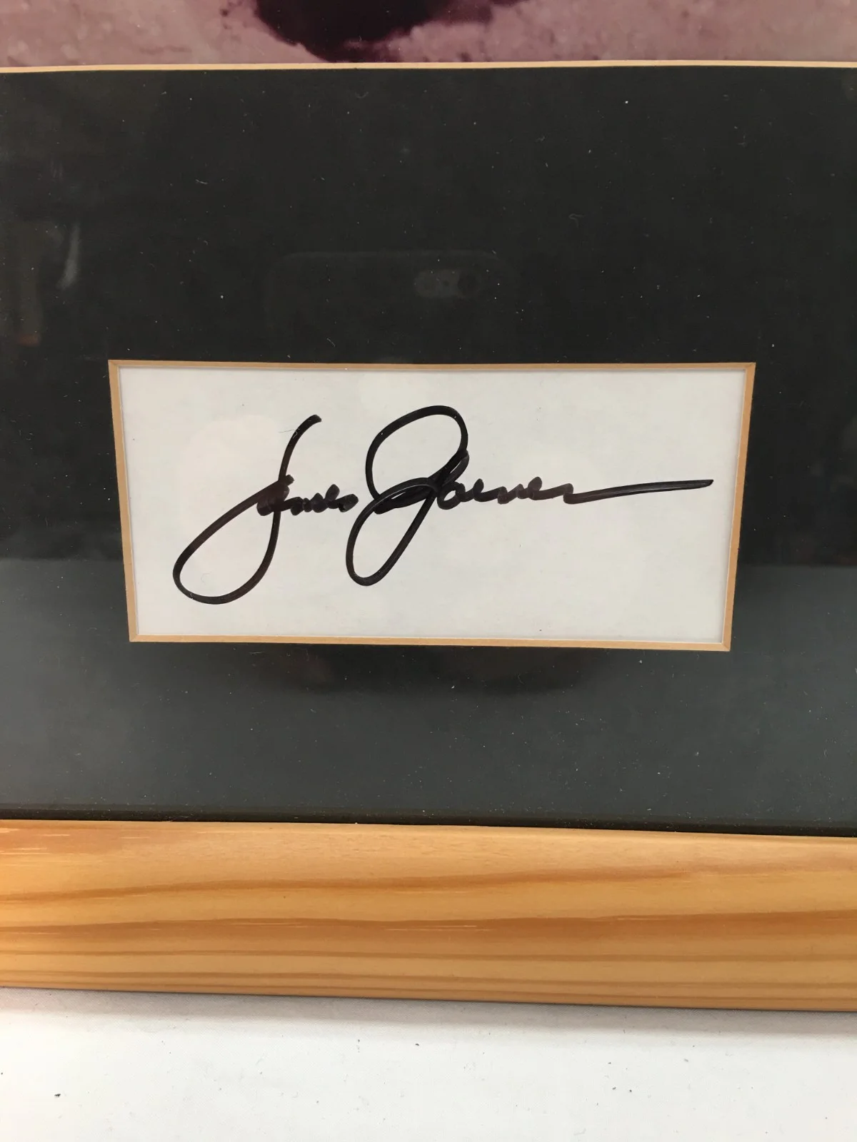 James Garner Mounted Framed Photographic Image - Hand Signed Frame 18x14", image 3