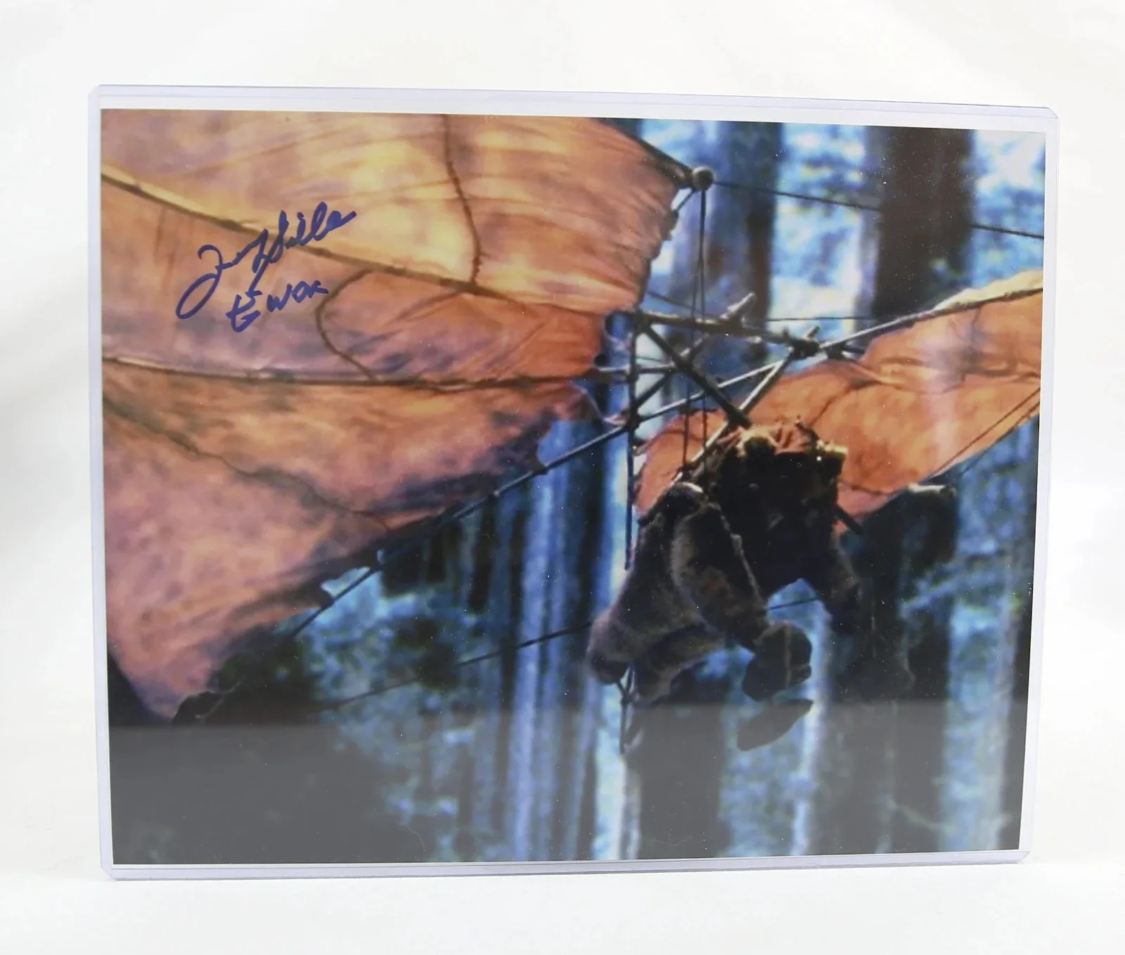 Felix Silla — Star Wars Return of the Jedi Glider Ewok 8x10 Photograph Signed by Felix Silla