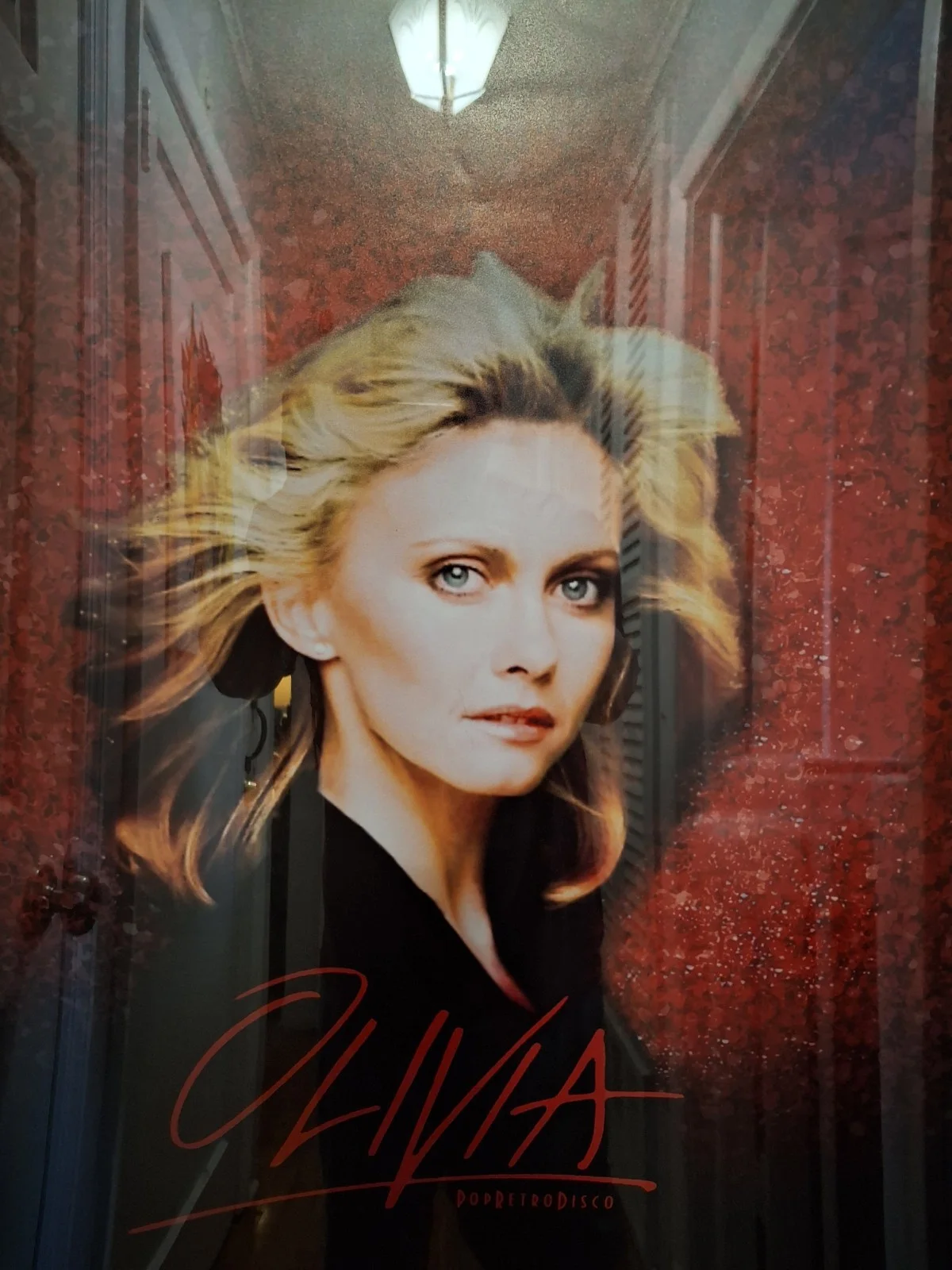 Olivia's close up 47 / 42 framed & ready to hang Rock star and songwriter, изображение 4