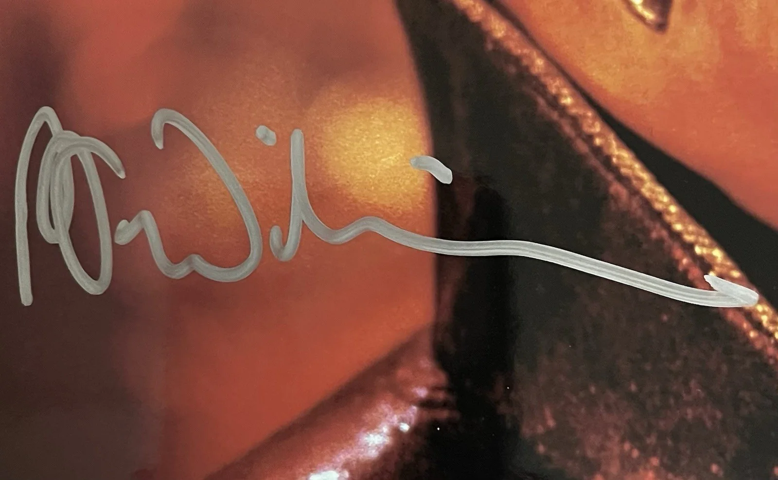 Peter Williams — Peter Williams Signed Apophis 8x10 Photo From Stargate SG-1 Autograph CE COA., изображение 2