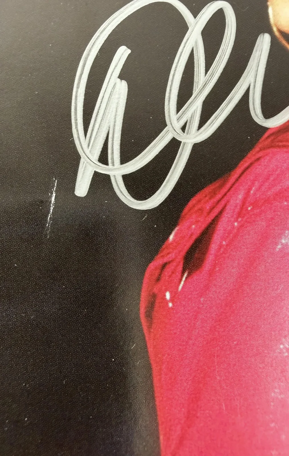Demi Lovato signed CD Insert I Love Me JSA Authentication, image 3