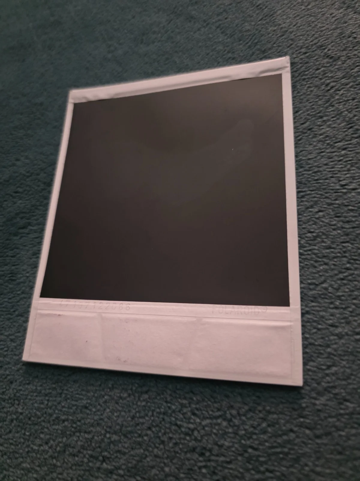 Belle — Belle Delphine Signed Polaroid, image 2