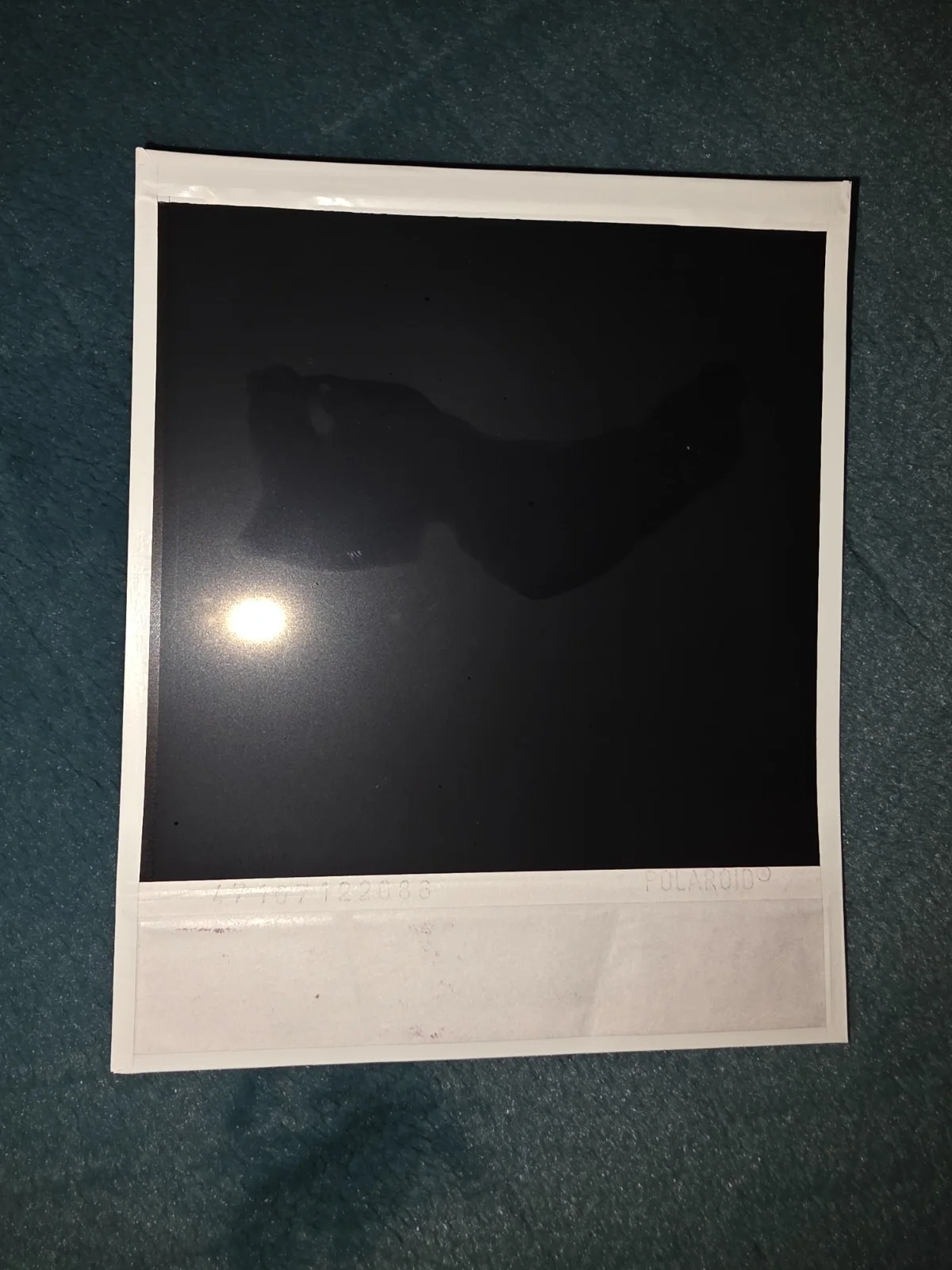 Belle — Belle Delphine Signed Polaroid, image 4