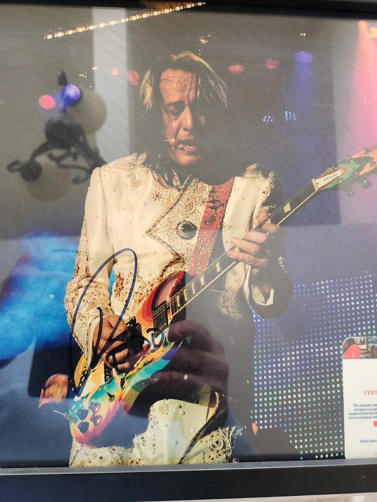 Todd Rundgren Autographed 11" x 14" Color Photo C.O.A., image 2