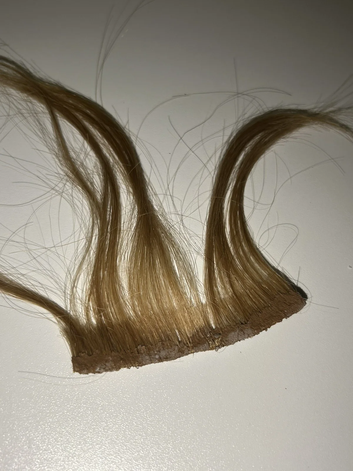 The Grinch Drew Who Hair Weft Screen Used Movie Prop Film TV COA Rare Jim Carrey, изображение 3