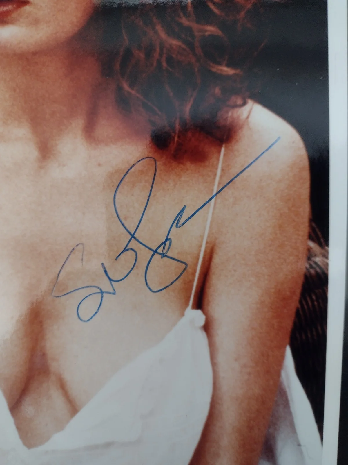 Sexy Susan Sarandon Autographed 8x10 Photo Rocky Horror Thelma & Louise COA, изображение 2