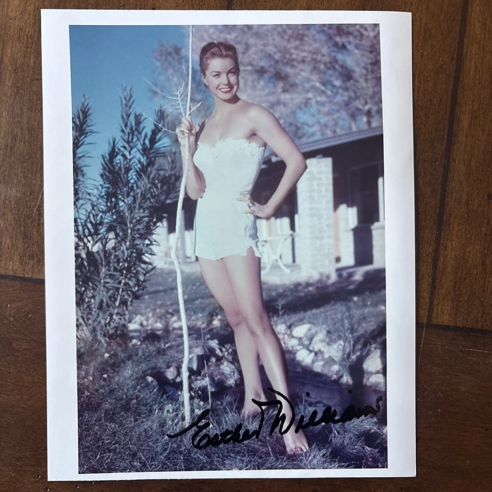 Esther Williams — ESTHER WILLIAMS Signed 8X10 1940s/50s Swimsuit Pin-Up Photo Autograph w/ COA