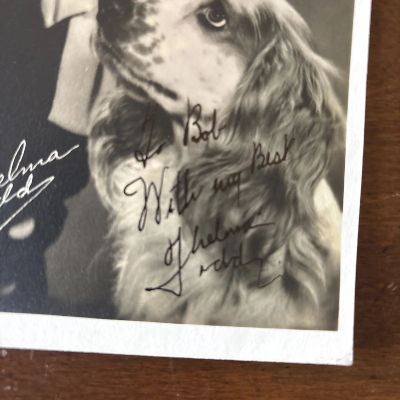 Thelma Todd — Autographed Vintage Photo Of Thelma Todd And Her Dog, изображение 2
