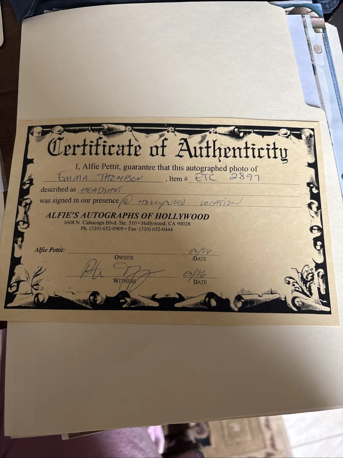 Emma Thompson — EMMA THOMPSON SIGNED 8X10 DEAD AGAIN MOVIE PROMO WITH COA, изображение 3