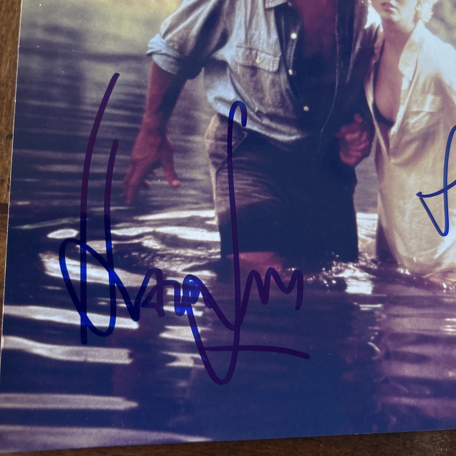 Harrison Ford, Anne Heche — HARRISON FORD & ANNE HECHE Signed Photo SIX DAYS, SEVEN NIGHTS 1998 Film COA, изображение 2