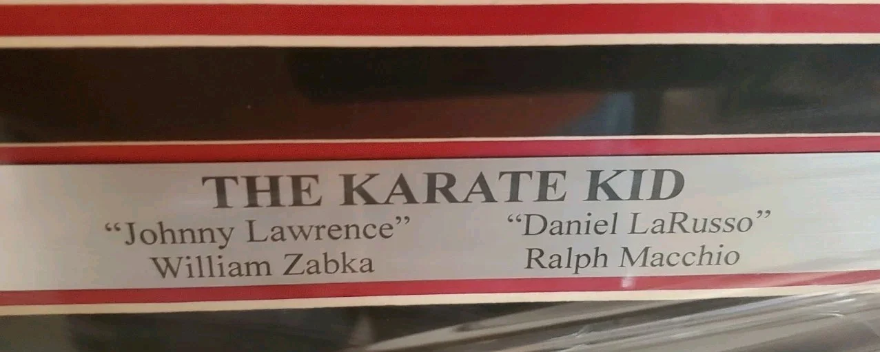 Ralph Macchio — NICE FRAMED & MATTED Ralph Macchio Autographed 11x14 Photo "Karate Kid" BAS COA, image 4