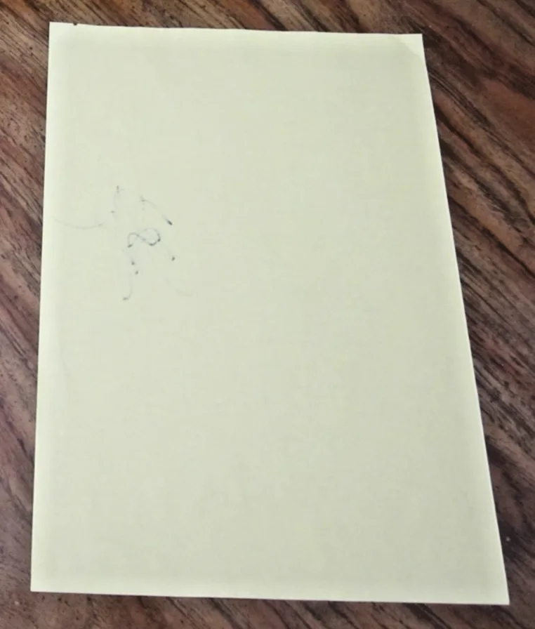Kirsten Vangsness — Kirsten Vangsness Signed 7.75X11 Script Page "Criminal Minds" Penelope Garcia, image 2