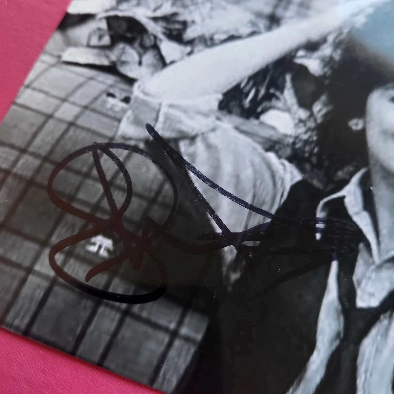 Sherrie Austin — Sherrie Austin The Facts Of Life Hand Signed 4x6 Autograph Photo, изображение 2