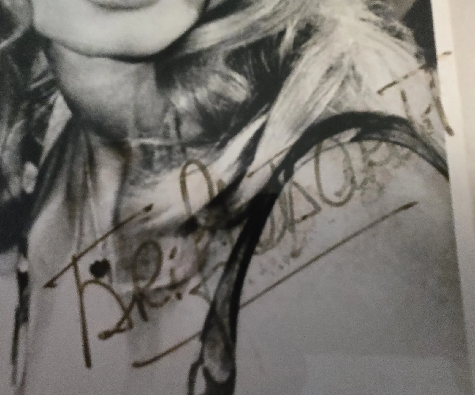 Bridget Bardot — Bridget Bardot Autographed 8x10 Black and White Photograph COA, изображение 2