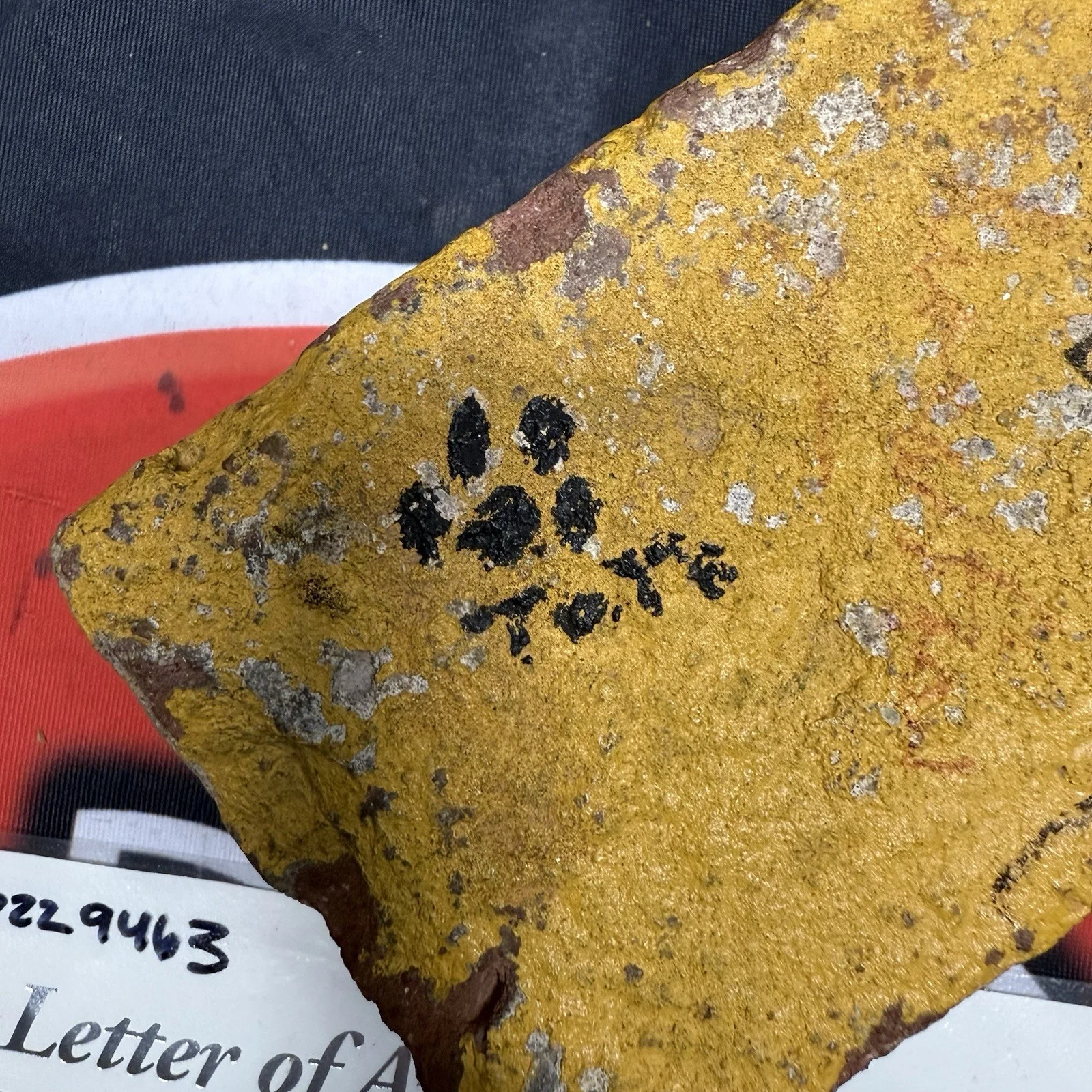 Michael Jackson — Michael Jackson The Wiz Cast Autographed Original Movie Set Brick Signed JSA COA, изображение 4