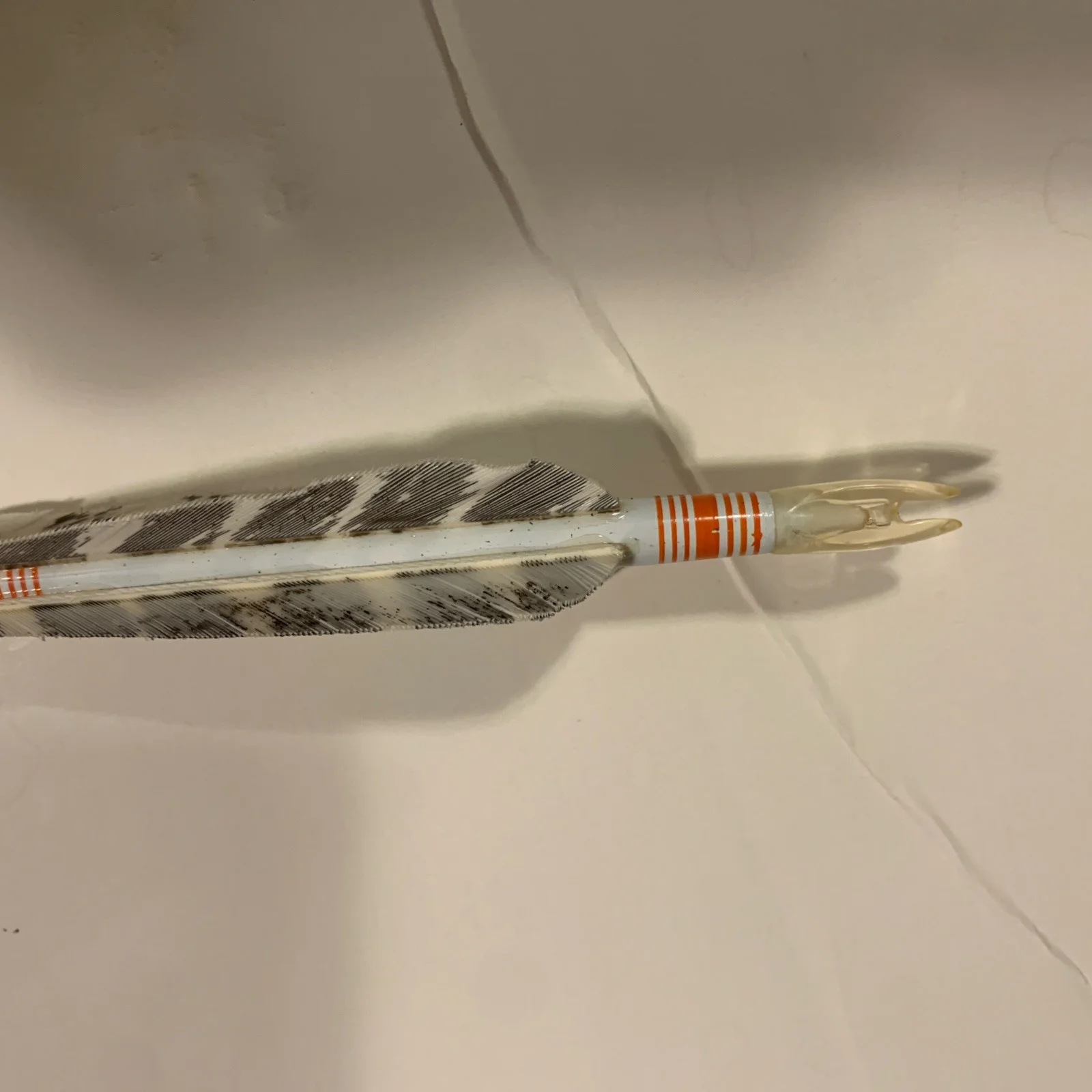 Ted Nugent Signed Autographed Archery Bow Arrow JSA Authenticated, image 5