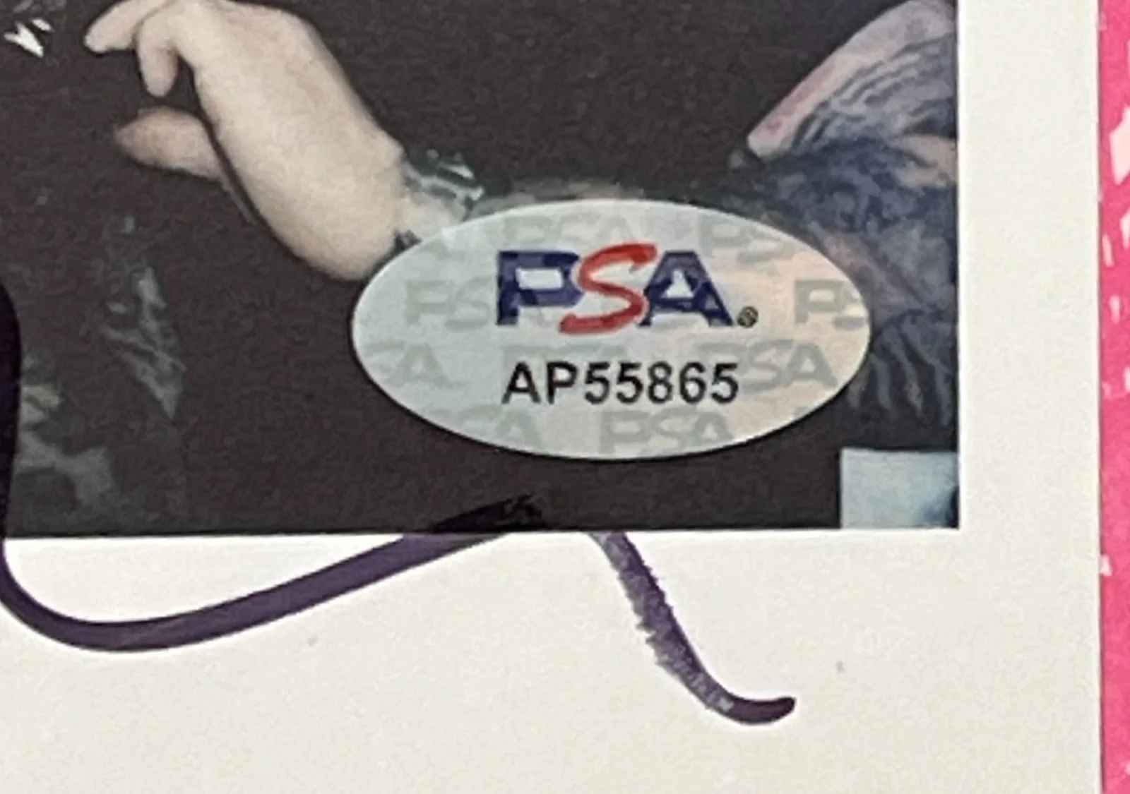 🎶 Ed Sheeran PLAY Signed CD Framed PSA COA Authentic Autograph Memorabilia 🎶, image 4