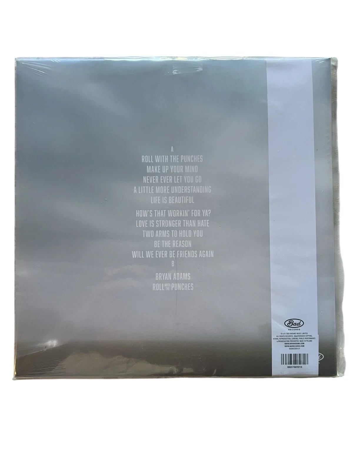 Bryan Adam SIGNED “Roll With The Punches” (Vinyl), image 3