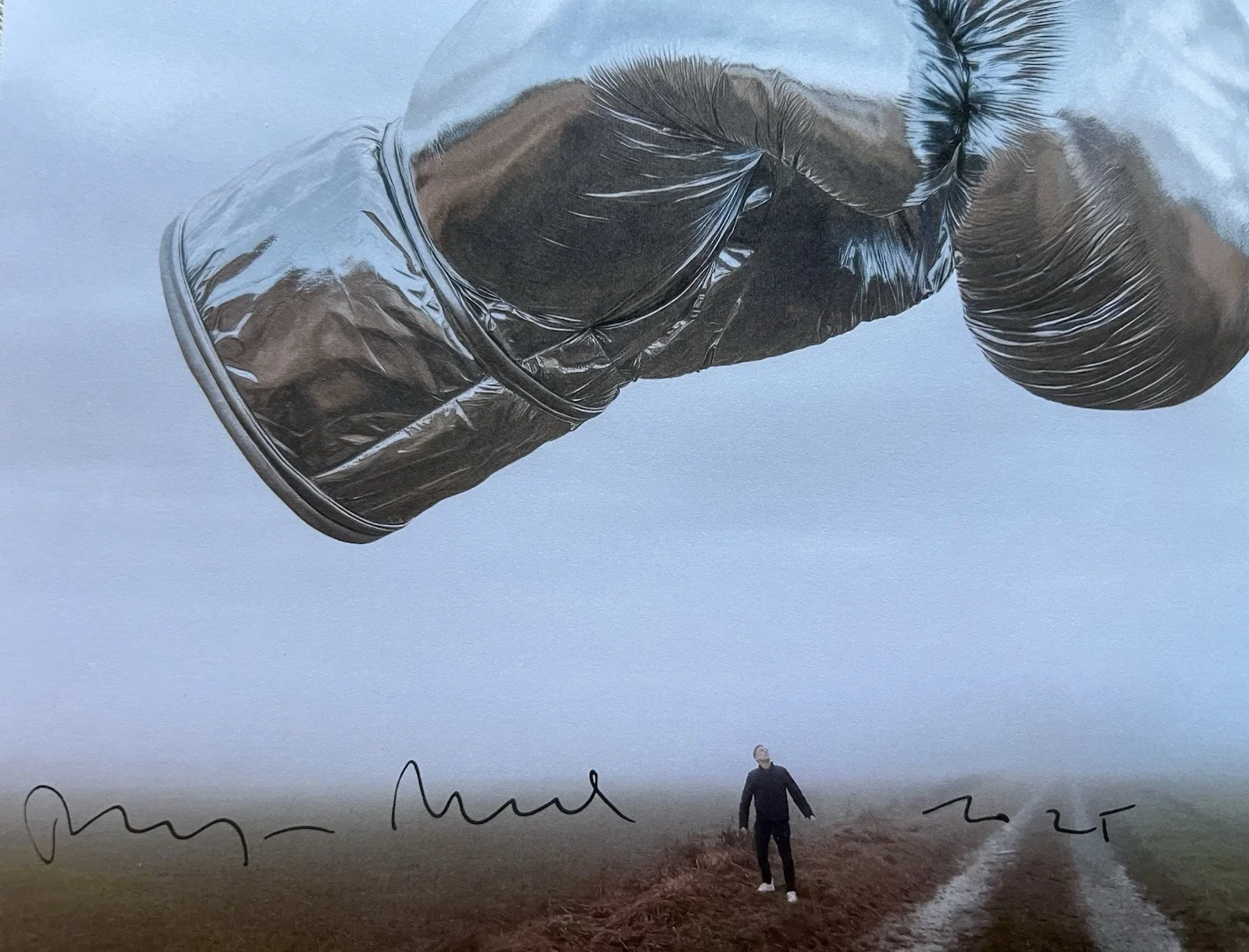 Bryan Adam SIGNED “Roll With The Punches” (Vinyl), image 5