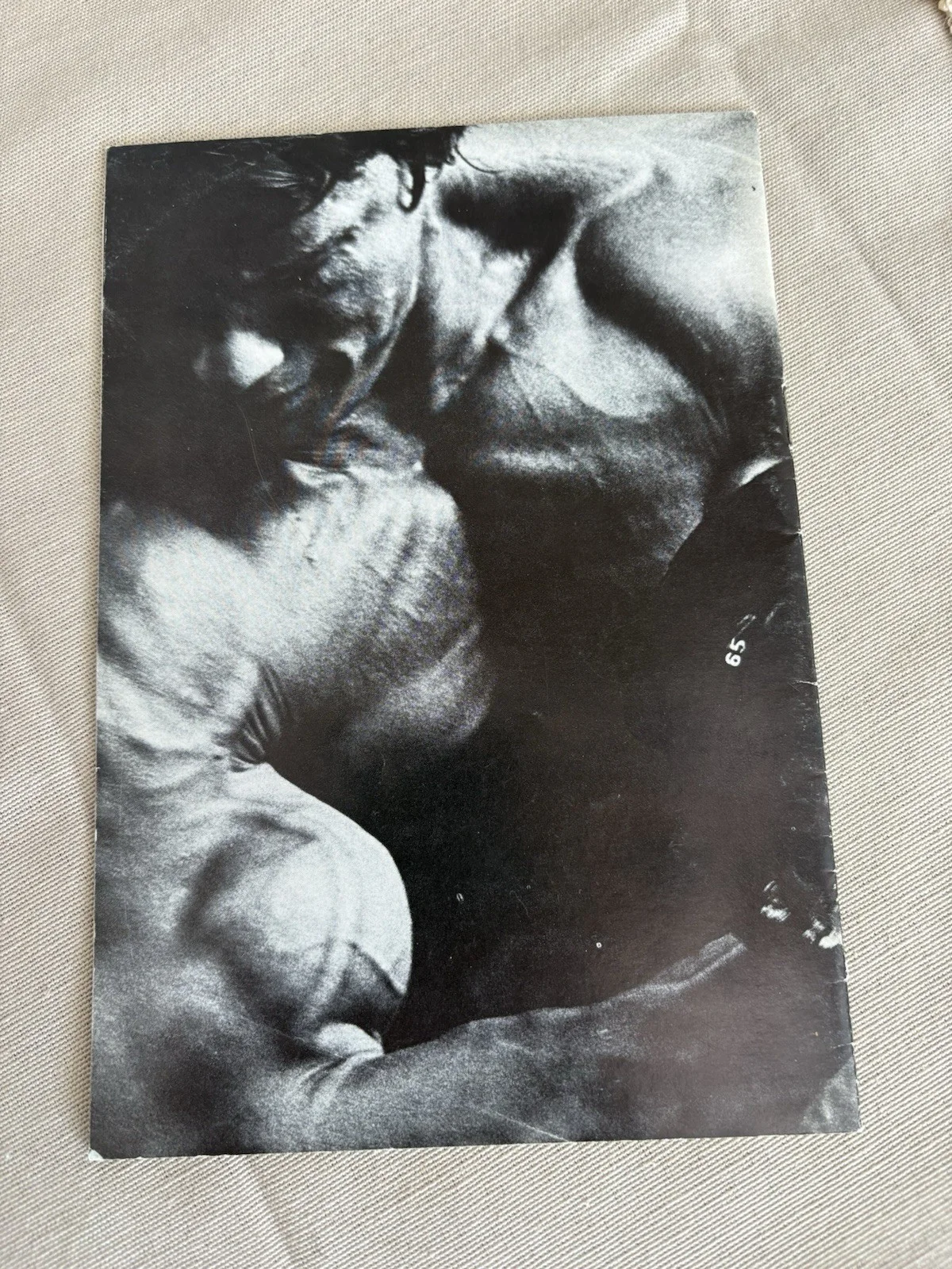 Arnold — MASSIVE ARMS bodybuilding muscle booklet ARNOLD SCHWARZENEGGER Autographed, изображение 3