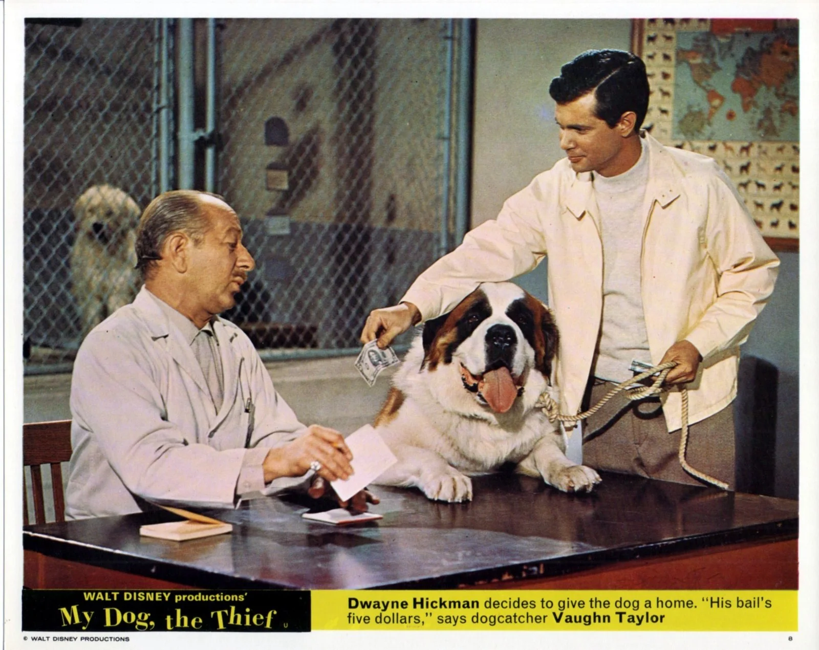 MY DOG, THE THIEF 1969 Dwayne Hickman, Elsa Lanchester UK 10x8 LOBBY SET, image 5
