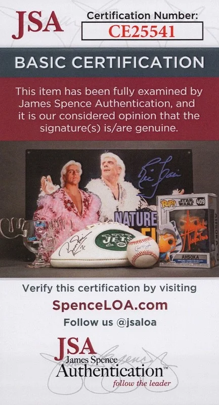 SCOTT STORCH — SCOTT STORCH signed BEYONCE & SEAN PAUL "BABY BOY" 10x10 PHOTO Ext Proof JSA COA, image 2