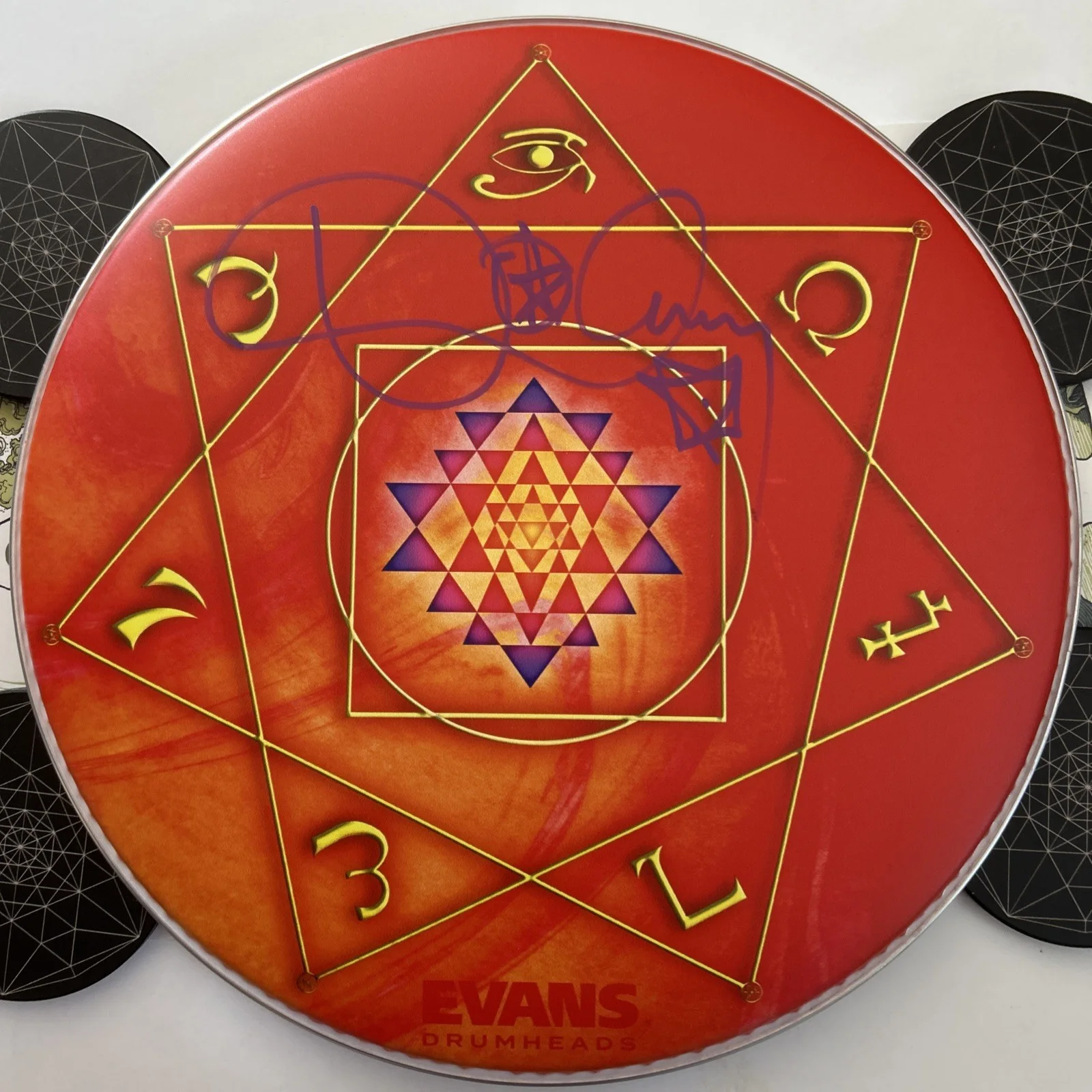 Danny Carey signed drumhead 14" Purple & Orange Tom limited edition, изображение 5